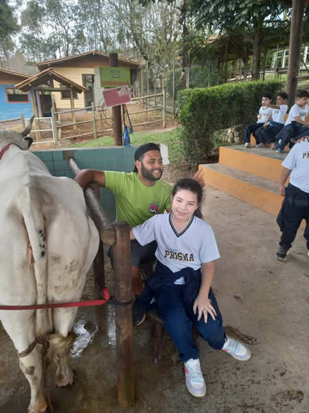 Bicho Mania 2022